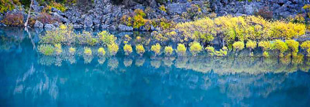 En la orilla del Lago Bertrand / Along the shore of Lago Bertrand